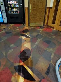 Commercial Carpet Cleaning in Columbus, OH (1)