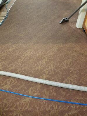 Commercial Carpet Cleaning in Colombus, OH (2)