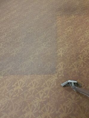 Commercial Carpet Cleaning in Colombus, OH (1)