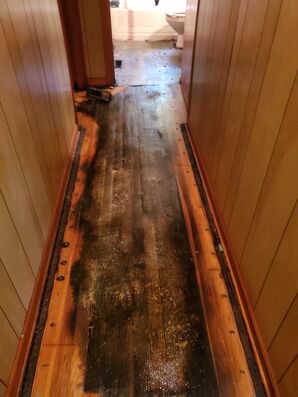 Water Damage Restoration in Colombus, OH (1)
