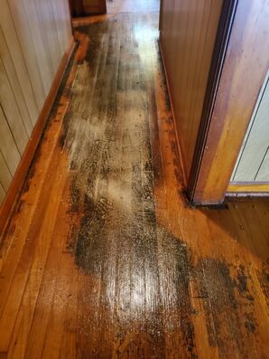 Water Damage Restoration in Colombus, OH (2)