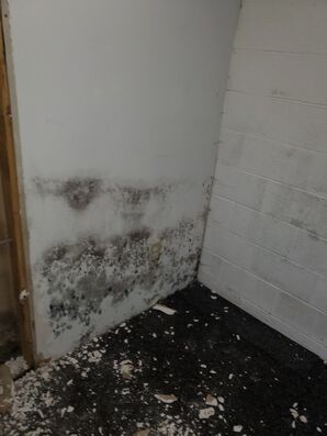 Mold Remediation in Colombus, OH (6)