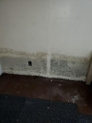 Mold Remediation in Colombus, OH (4)