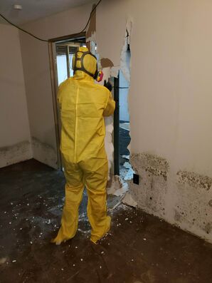 Mold Remediation in Colombus, OH (2)