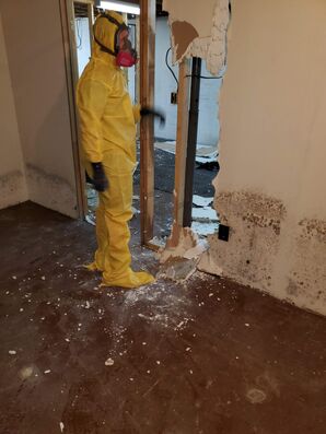 Mold Remediation in Colombus, OH (1)