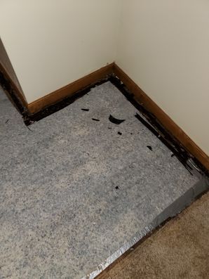 Water Damage in Grove City, OH (2)