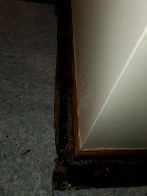 Water Damage in Grove City, OH (1)
