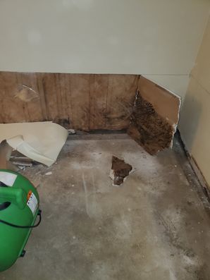 Basement Flood in Westerville, OH (3)