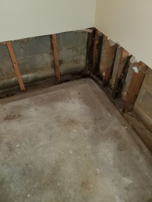 Basement Flood in Westerville, OH (5)