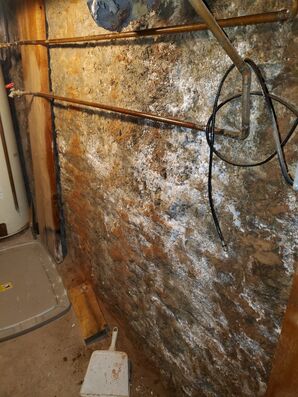 Mold Remediation in Grove City, OH (4)