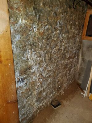 Mold Remediation in Grove City, OH (3)
